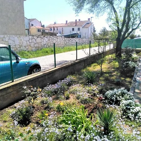 Apartman Din-Pula Exterior photo